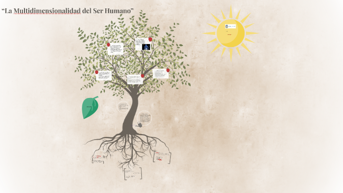“La Multidimensionalidad del Ser Humano by Pilar Azañero Bernal on Prezi