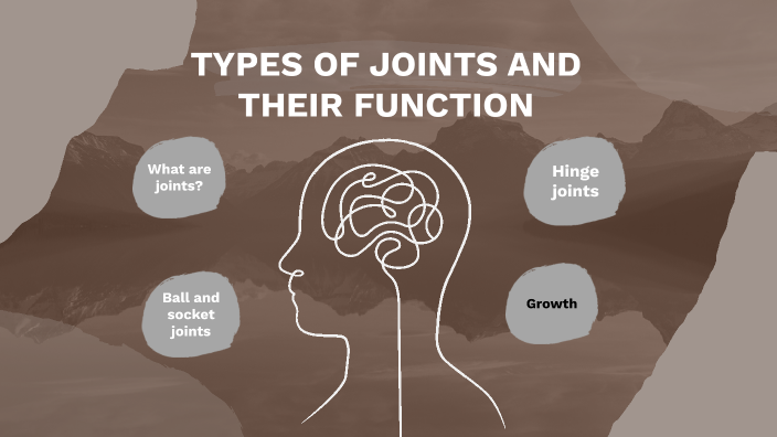 Types Of Joints And Their Function By Elaina H On Prezi