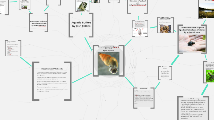 Conservation of Wetlands and Aquatic Species by Kelsey Speer on Prezi