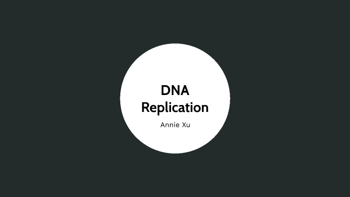 DNA Replication by Annie Xu on Prezi