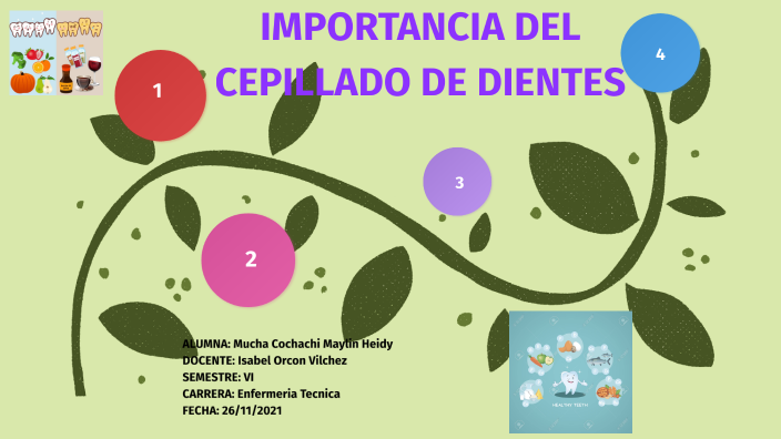 IMPORTANCIA DEL CEPILLADO DE DIENTES By Maylin Heidy MUCHA COCHACHI