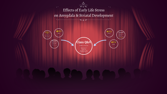 early-life-stress-can-disrupt-maturation-of-brain-s-reward-circuits