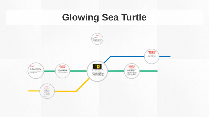 Glowing Sea Turtle by joe urban on Prezi