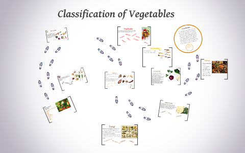 Classification Of Vegetables By Peter Hopkins On Prezi Classification Of Vegetables By Peter Hopkins On Prezi