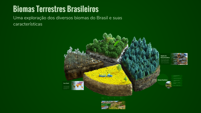 Biomas Terrestres Brasileiros by Ketlen Larissa on Prezi
