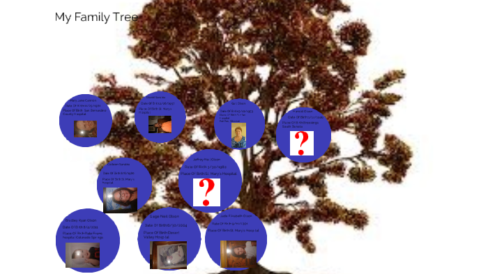 Olson Tree Olson family tree by gage olson on Prezi