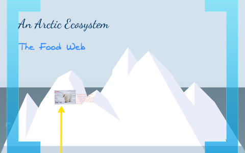 An Arctic Ecosystem by Melody Dewdrop on Prezi