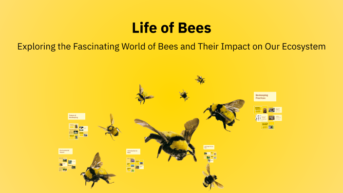 Life of Bees by Test User on Prezi