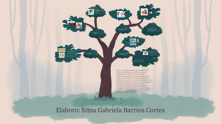 Mapa mental by Edna G.B Cortes on Prezi
