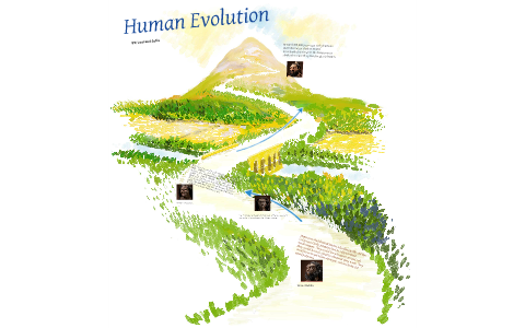 Human Evolution by alexis gehrig on Prezi