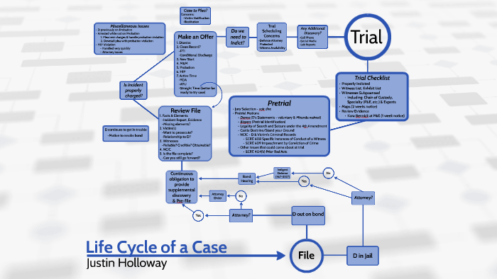 Life Cycle of a Case Presentation by megan raymer on Prezi