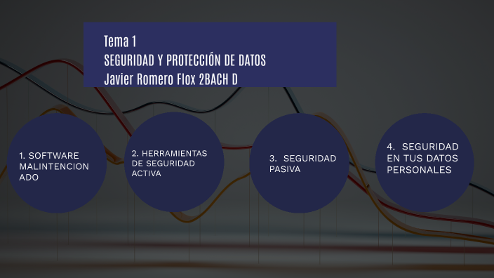 SEGURIDAD Y PROTECCION DE DATOS by Javi 19 on Prezi