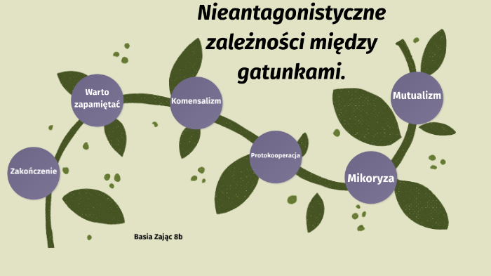 Nieantagonistyczne zależności między gatunkami. by Basia Zając on Prezi