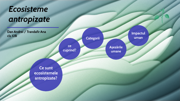 Ecosisteme Antropizate By Rose Ana On Prezi