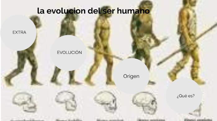 la evolucion del ser humano by angel gomez on Prezi Next