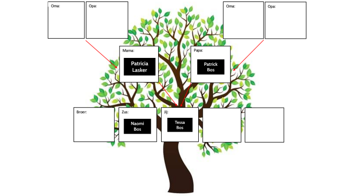 stamboom by Tessa Bos on Prezi