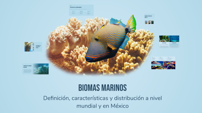 Biomas Marinos by manuel alejandro garcia morales on Prezi