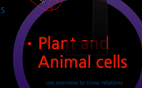 Plant and Animal cells by Austin Gunderson on Prezi