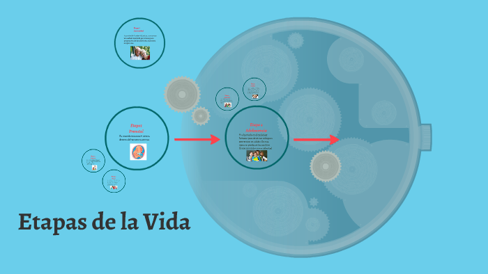 Etapas de la Vida by michael tello on Prezi