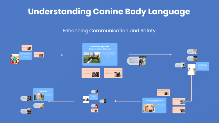 Understanding Canine Body Language by Beezys Rescue on Prezi