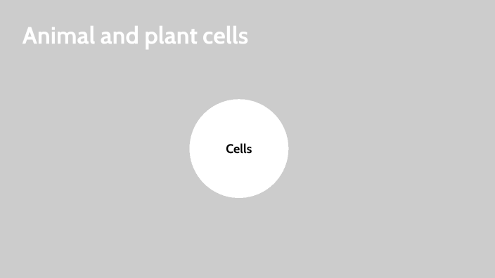 Animal cells and plant cells by Jordan Martin on Prezi