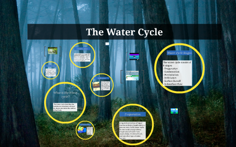 The Water Cycle by Elizabeth lizziee on Prezi