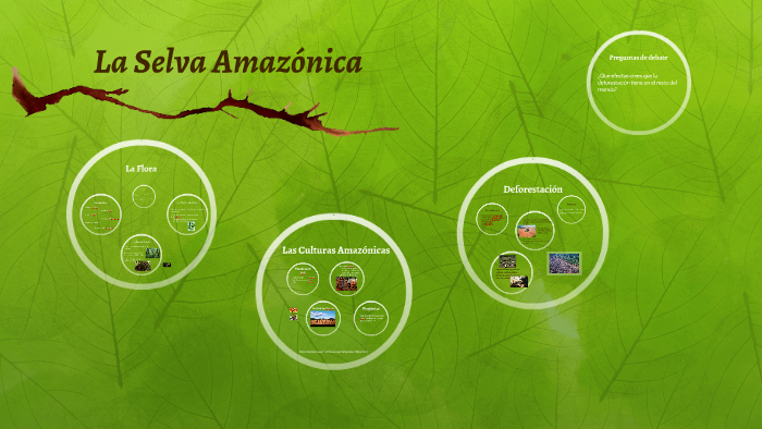 La Selva Amazónica by Peyton Zeigler on Prezi