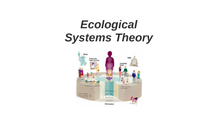 Ecological Systems Theory Examples