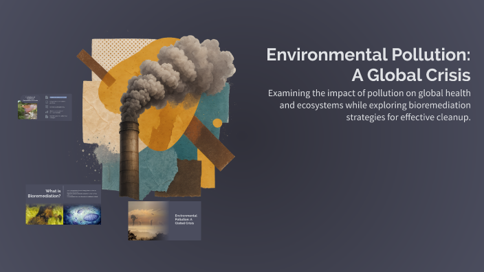 Environmental Pollution: A Global Crisis by Mila Micoli on Prezi