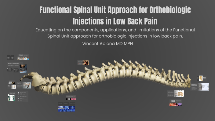 Functional Spinal Unit Approach for Orthobiologic Injections in Low ...