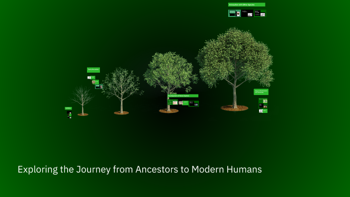 Stages of Human Evolution by Alex Velichko on Prezi