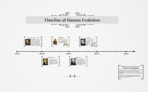 Timeline of Human Evolution by Kahyun Kang