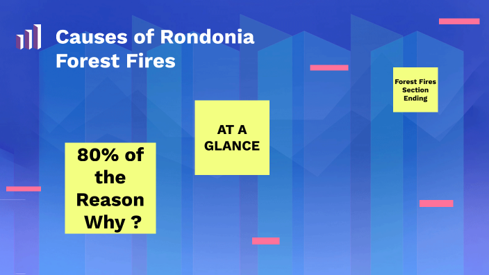 causes of forest fires essay