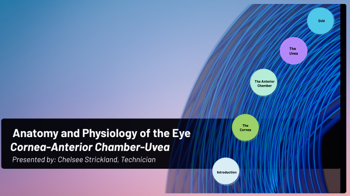 Anatomy and Physiology of the Eye Cornea-Anterior Chamber-Uvea by ...