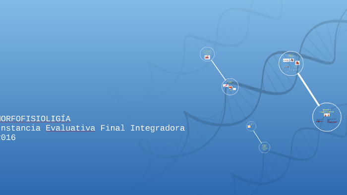 Instancia Evaluativa Final Integradora 2016 by Micaela Cipriani on Prezi
