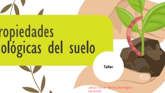 Propiedades Biológicas del suelo by Jesús Molina on Prezi