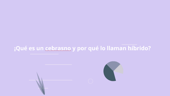 ¡Qué es un cebrazno y por qué lo llaman híbrido? by Eduardo Guerrero on ...