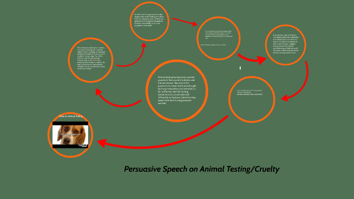 Persuasion Speech on Animal Testing by Dakota Smith