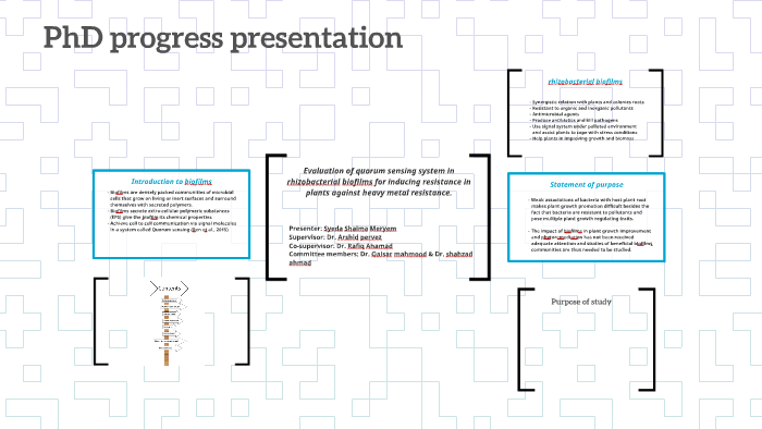 phd progress report presentation
