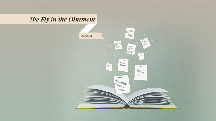 The Fly In The Ointment By Camila Sanchez