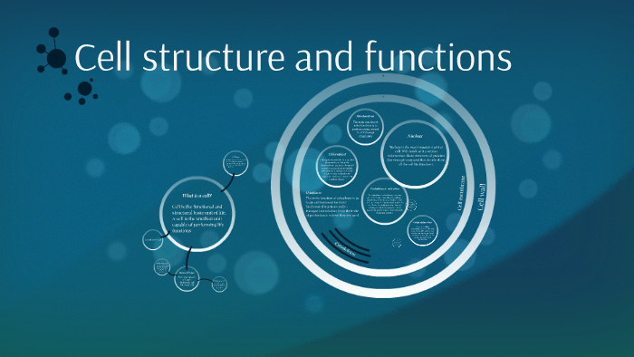 Cell structure and functions by Michał Citko