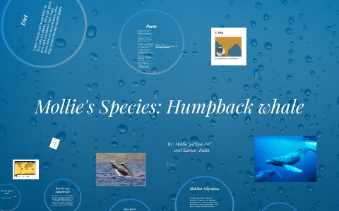 Endangered Species by Mollie Jordan on Prezi
