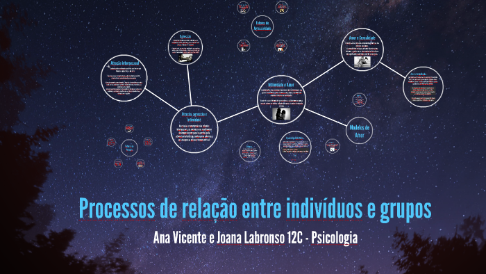 Processo de relação entre indivíduos e grupos by Joana Labronso on Prezi