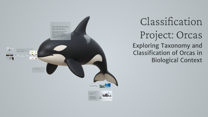 Classification Project: Orcas by Deven Mahelis on Prezi