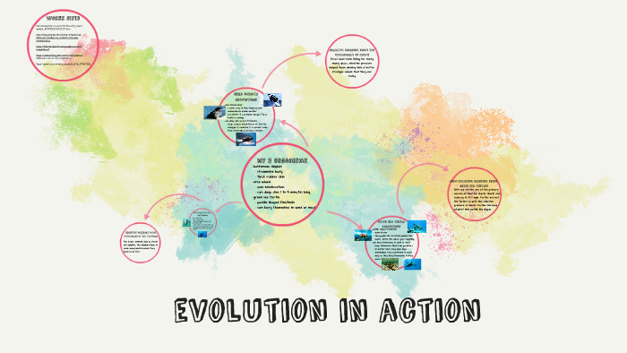 evolution in action by Mykaela Chandler