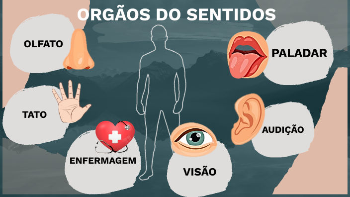 ORGÃOS DO SENTIDOS-ENFERMAGEM by Geyziely Souza on Prezi