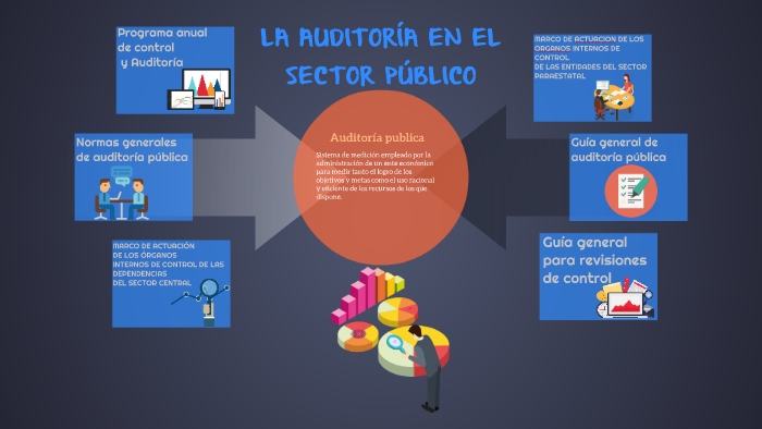 Metodologia De La Auditoria Al Desempeño En El Sector Publico