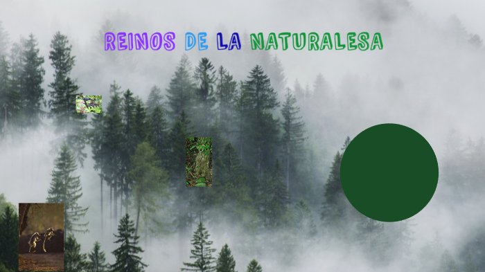 los reinos de la naturaleza by idalia bernal on Prezi