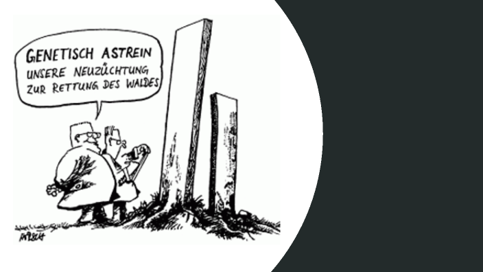Vor Und Nachteile Der Gentechnik