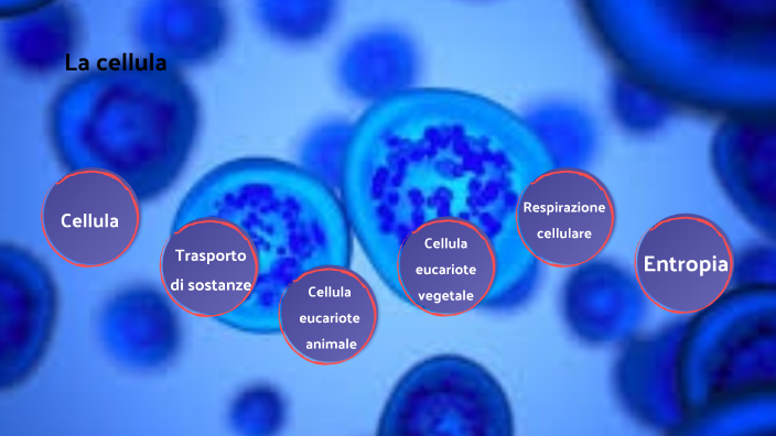 LA CELLULA by Elisa Giurini on Prezi